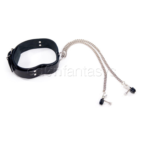 Product: Collar with clamps
