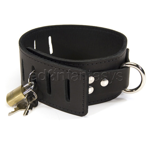 Product: Hasp style collar