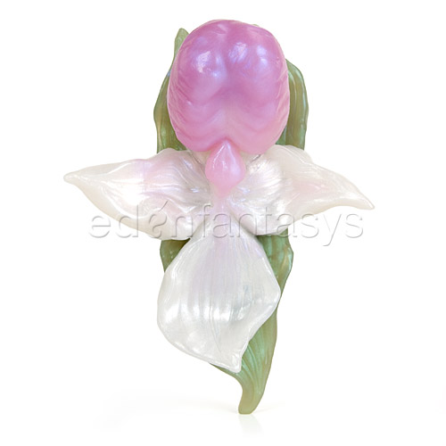 Product: Orchid