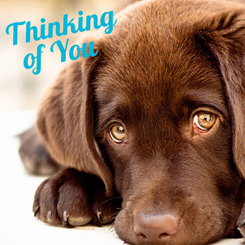 Thinking of You Electronic Gift Card