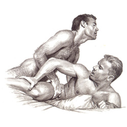Gay Mans Kama Sutra View #4