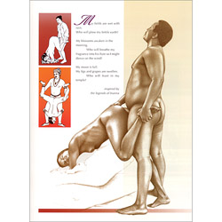 Kama Sutra of Sexual Positions View #4