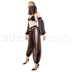 Arabian dancer costume View #7