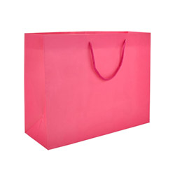 Gift Bag Pink Medium View #1