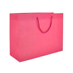 Gift Bag Pink Large View #1