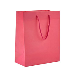 Gift Bag Pink Small View #1