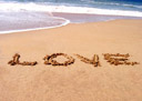 Speaking the Language of Love