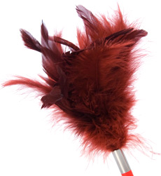 Tantra feather teaser - tickler, <%#Customer.Current.Culture.FormatMoney(23.99m)%>