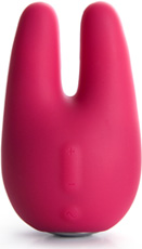 Form 2 - discreet massager