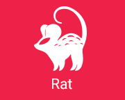 Rat