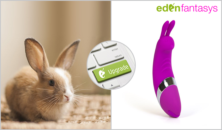 C bunny rechargeable
